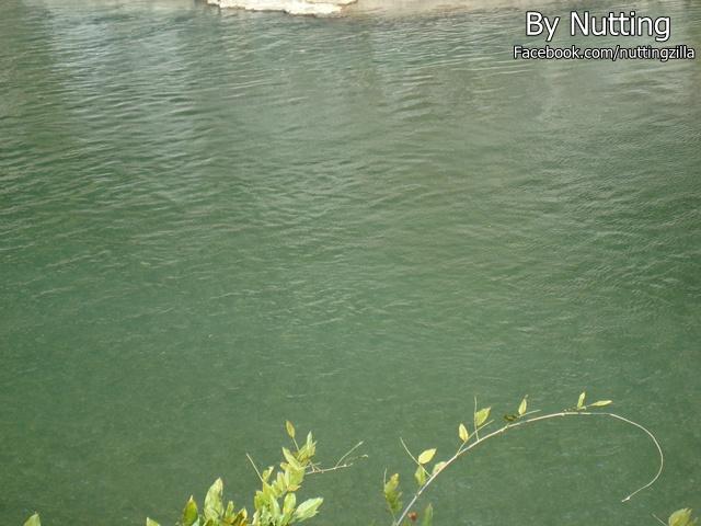 DSC03865.JPG